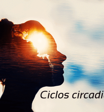 Ciclos circadianos